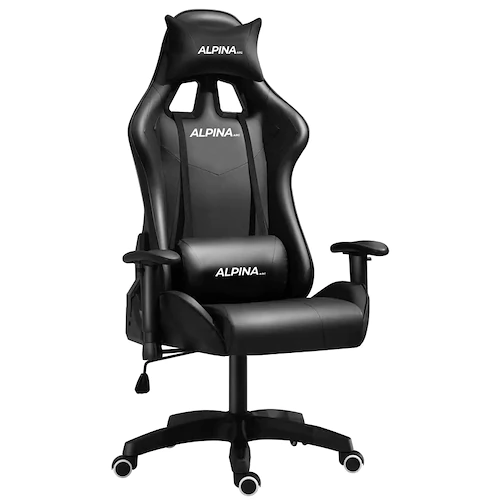 Silla Ergonómica Giratoria Reclinable Alpina FT055 Negro/Blanco